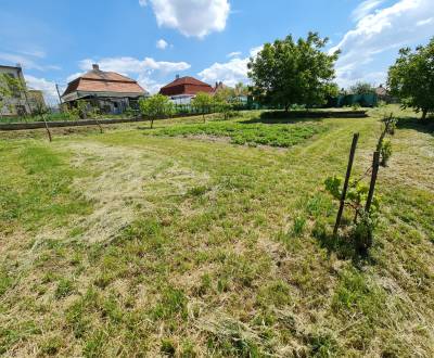 Prodej Pozemky - bydlení, Dvory nad Zitavou, Nové Zámky, Slovensko