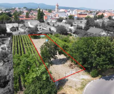 Prodej Pozemky - bydlení, Pozemky - bydlení, Holubyho, Pezinok, Sloven