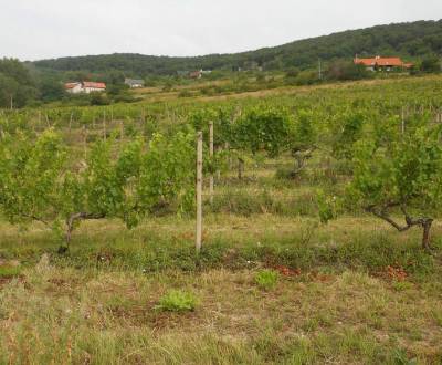 Prodej Zemědělské a lesní, Vinohrady, Bratislava - Nové Mesto, Slovens