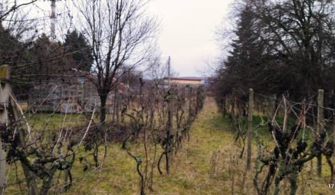 Prodej Pozemky - bydlení, Na Priehon, Nitra, Slovensko