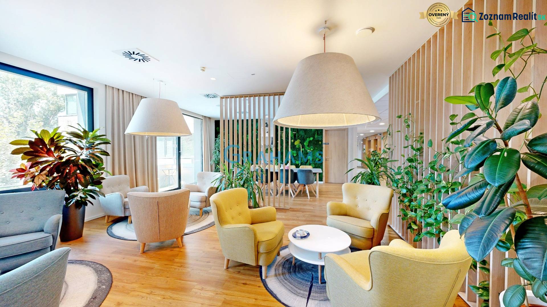 Světlé kanceláře s pohodlnými křesly, velkými rostlinami a podlahou s dřevěným dekorem.