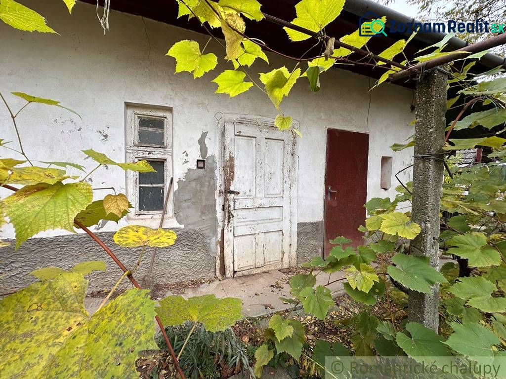 Rodinný dům v Zemnom: starší dveře a okno obklopené vinnou révou.
