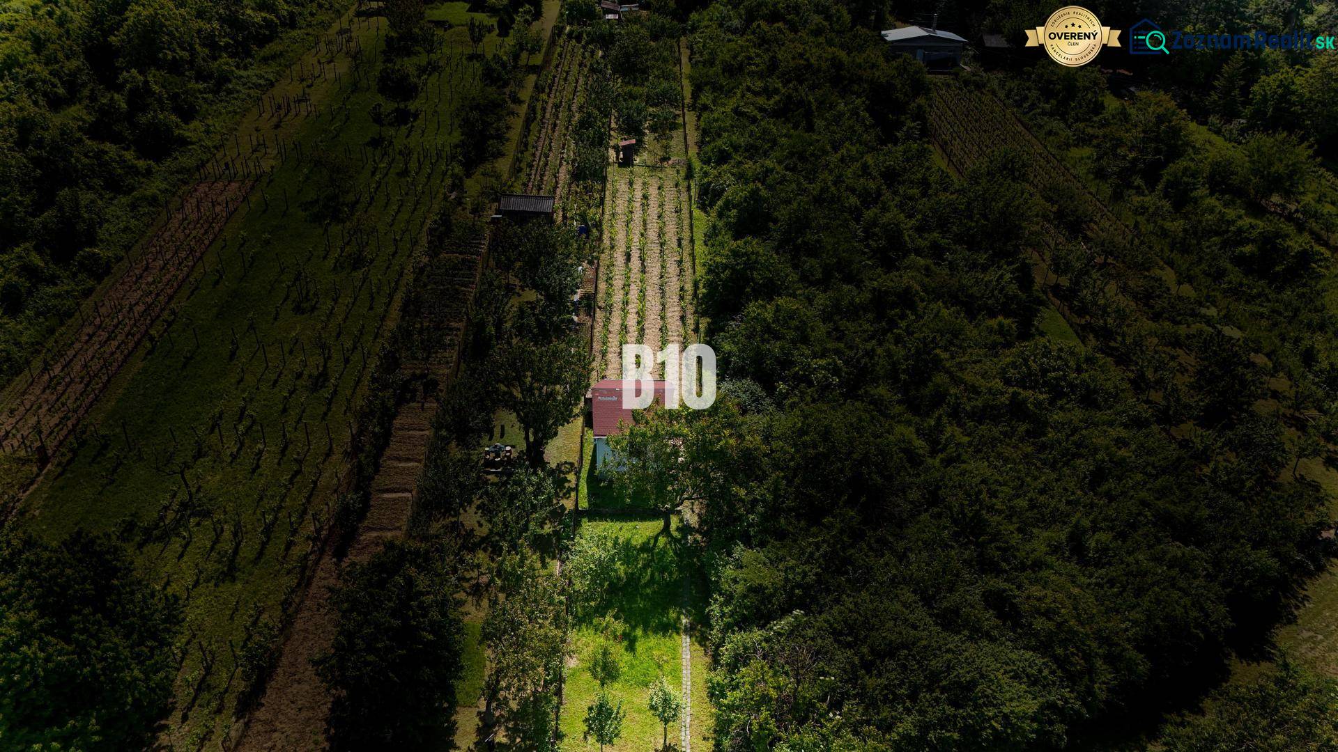 Vinice u Nitry obklopené zelení s malou budovou na pozemku.