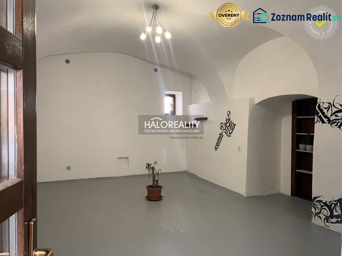 Interiér kanceláří s bílými stěnami, obloukovým stropem a rostlinou v květináči.