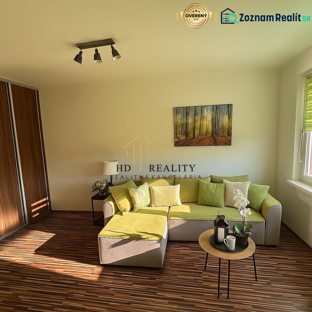 Obývací pokoj jednopokojového bytu s pohovkou, obrazem a podlahou s dřevěným dekorem.