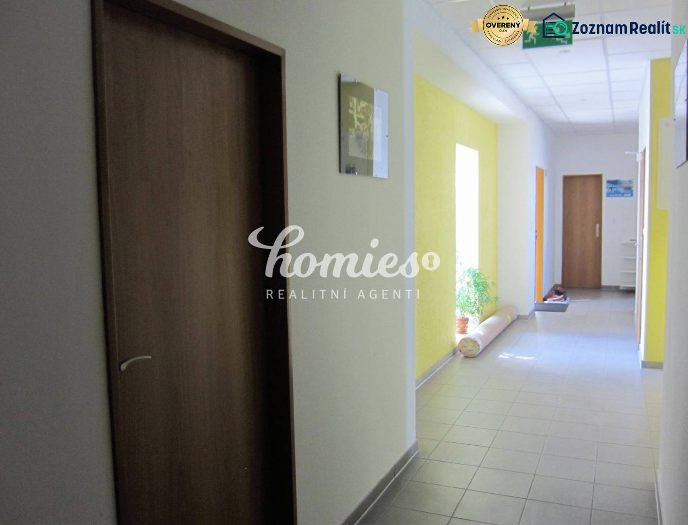Chodba s dveřmi a rostlinou, na ulici Štúrova, směřuje ke kancelářím.