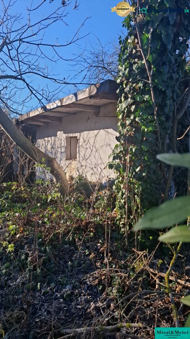 Zarostlá zahrada kolem chaty v Suché nad Parnou s hustým porostem a stromy.
