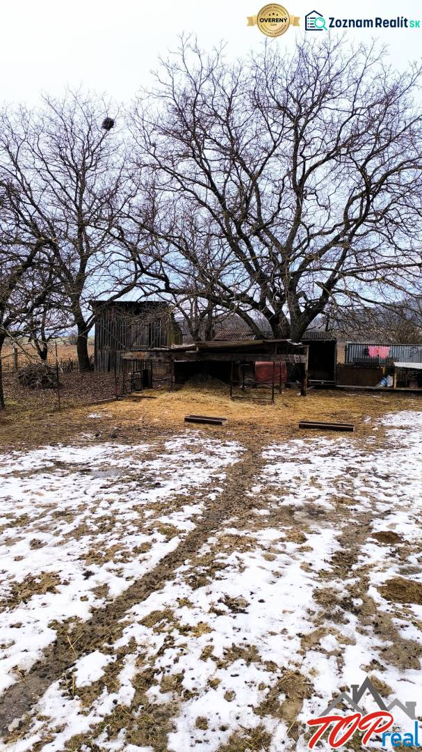 Sněhem pokryté pozemky na bydlení se stromy na Mírové ulici v Krásnohorské Podhradí.