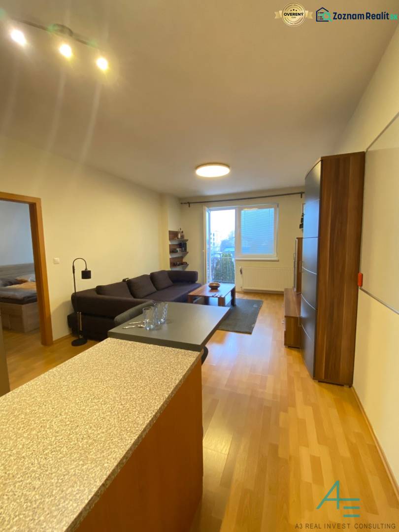 Obývací pokoj s kuchyní a podlahou s dřevěným dekorem ve 2pokojovém bytě.