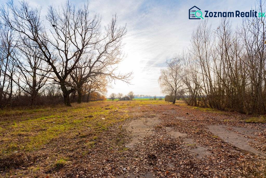 Krajina se stromy ve Stupavě na komerčních pozemcích na Stupavské ulici.