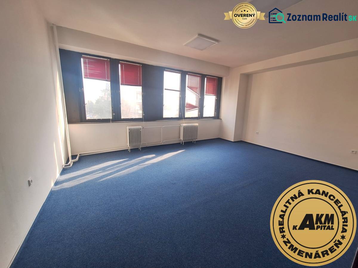 Kancelář s modrým kobercem a velkými okny, prosvětlený prostor.