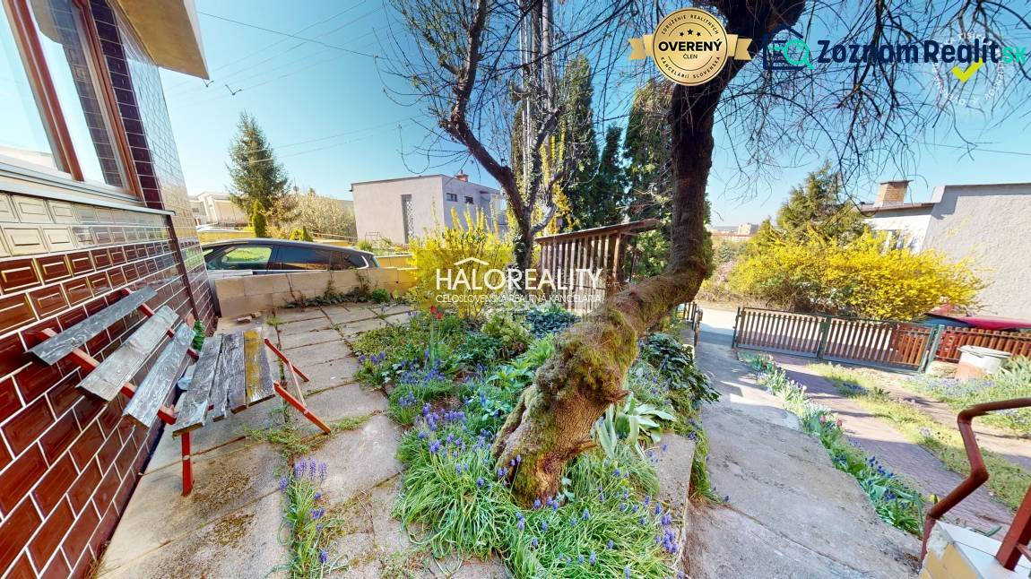Před rodinným domem v Rimavské Sobotě je zahrada s lavičkou a stromem.