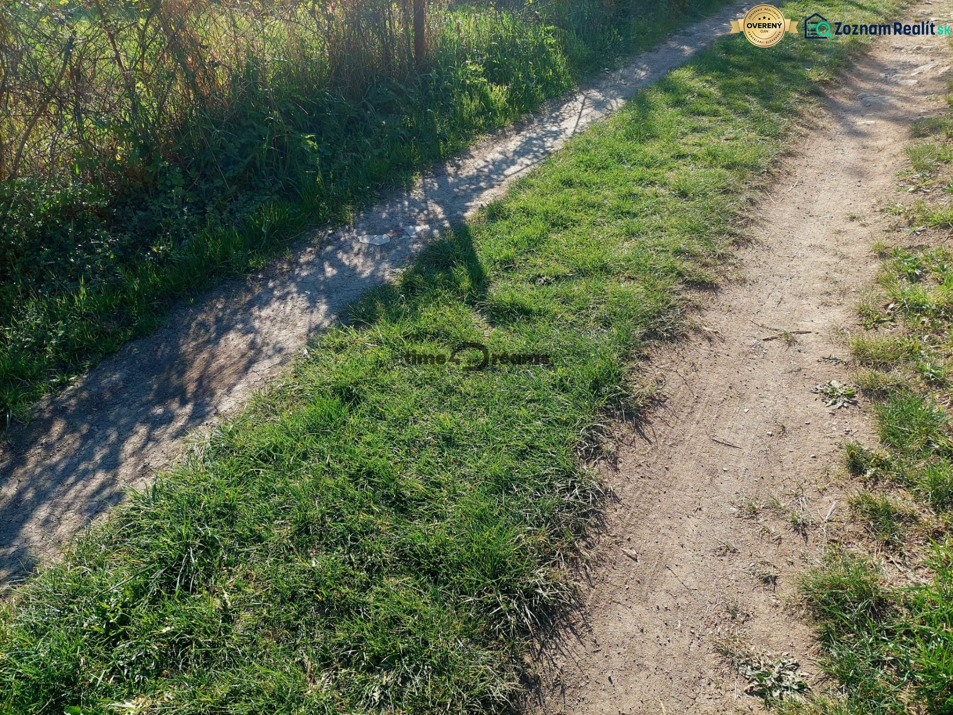 Travnatý chodník v Budiné s rostoucími keři podél cesty u rodinného domu.