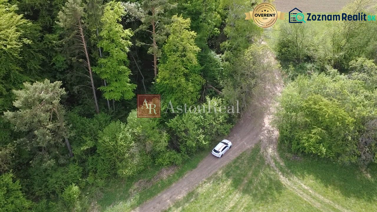 Louka s vozidlem před lesem na rekreačních pozemcích ve Streženicích, Streženice.