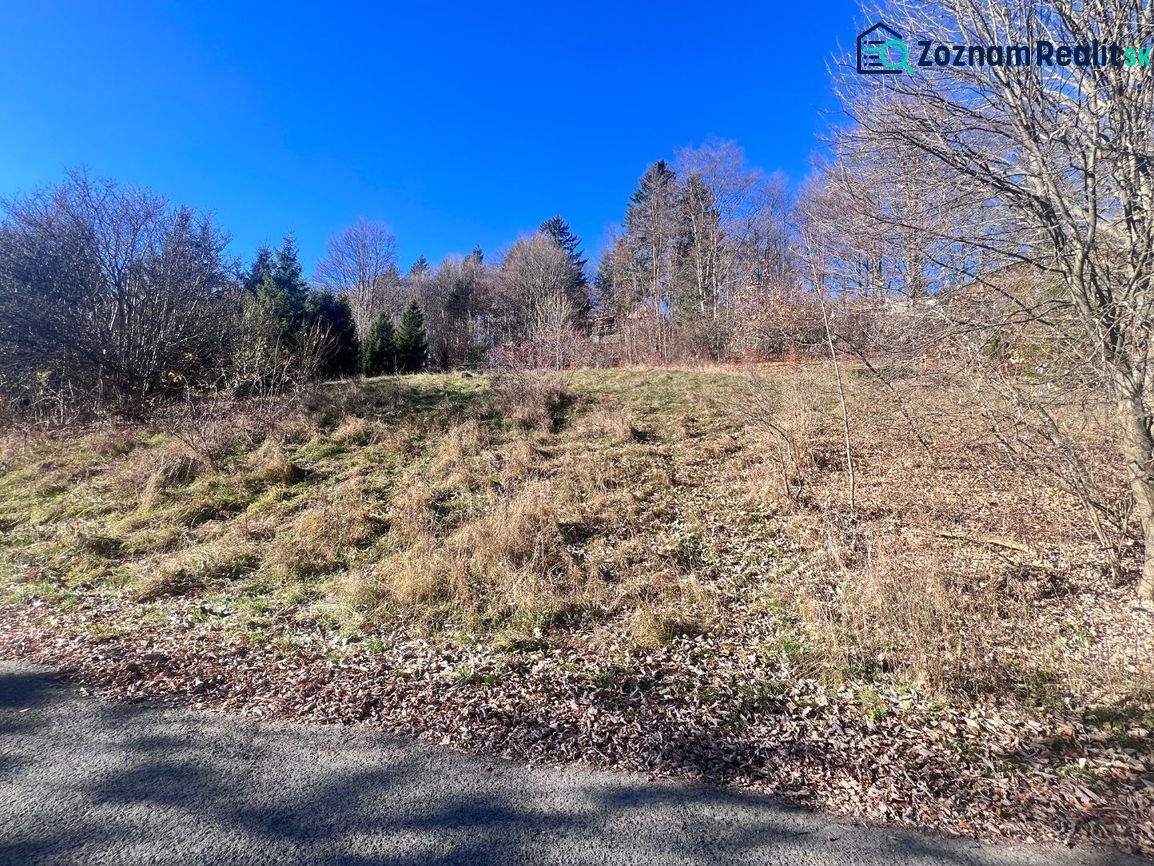 Travnatý pozemek na předměstí Donoval, okres Banská Bystrica, Banskobystrický kraj, Slovensko.