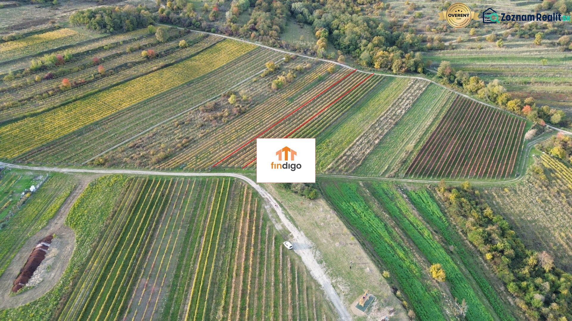 dji_fly_20251019_163802_179_1760884926301_photo.jpg
