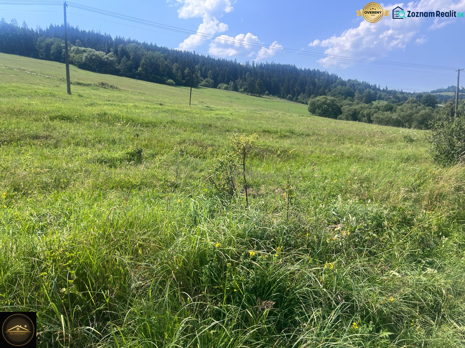 Travnaté pozemky na bydlení v Olešné s lesním pozadím a elektrickými sloupy.