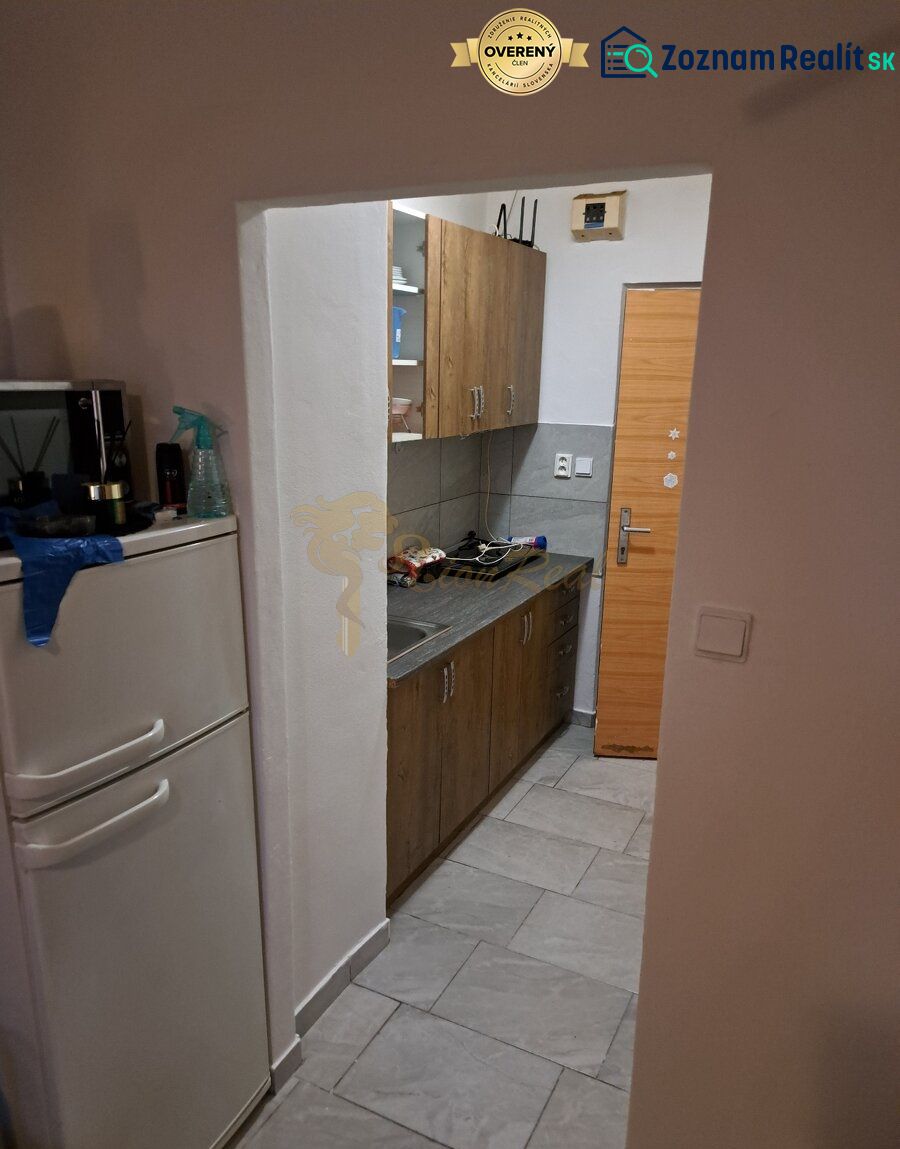 Garsonka s kuchyňkou, světlou podlahou a dřevěným dekorem skříněk.
