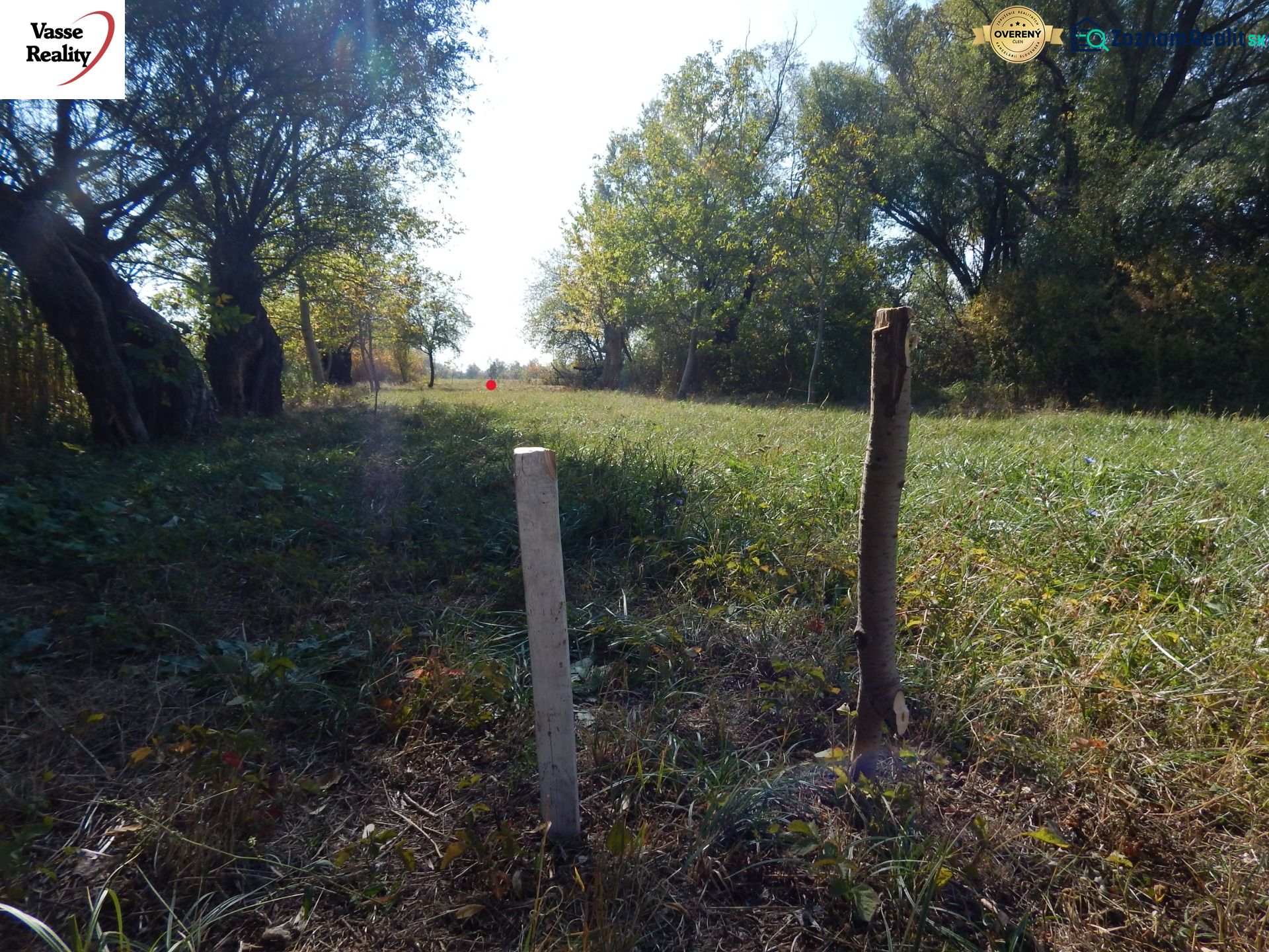 Travnatý pás s dřevěnými kolíky na Rekreačních pozemcích v Martovcích, obklopený stromy.