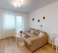 2-izbovy-byt-Dubnica-nad-Vahom-Agatova-Living-Room.jpg