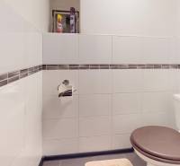 Rodinny-dom-Holic-Bathroom 2.jpg
