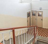 Schodisko na ulici Zimná, vedúce k 3-izbovému bytu, s kachličkovou podlahou a zábradlím.