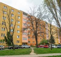 Panelový dom na ulici Zimná, pred ním stojí viacero áut a stromy.
