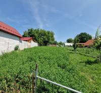 Zahrada s trávníkem a stromy ve Štefanově, vedle rodinného domu, modrá obloha.