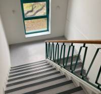 Schodiště v kancelářích s oknem a zábradlím, výhled na venkovní přírodu.