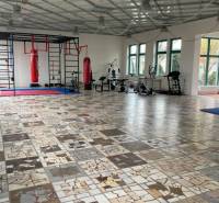 Prostorné kanceláře s boxovacími pytli a fitness vybavením, dlažba z různých druhů mramoru.