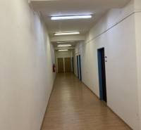Úzký interiérový koridor se světly, dřevěná podlaha a světlé stěny ve skladech a halách.