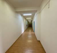 Dlouhá chodba s dřevěnou podlahou a bílými stěnami v kancelářích.