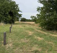 Pozemek v Povodí, vhodný k bydlení, obklopený zelení a dřevěnými kůly.