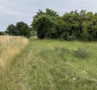 Pozemky - bydlení v Povodě s přírodním prostředím, stromy a tráva na místě.