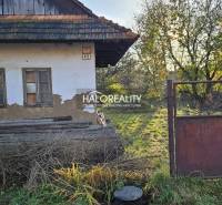 Starší dům s poškozenou fasádou a dřevěnou střechou, obklopený zelenými pozemky k bydlení.