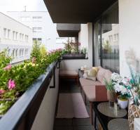 Balkon 2pokojového bytu s květinami, pohovkou a výhledem na okolní budovy.