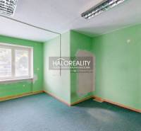 Zelená stěna, okno se žaluziemi a modrý koberec v obchodních prostorách.