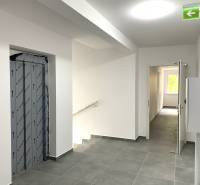 Chodba se schodištěm, výtahem a otevřenými dveřmi do 2-pokojového bytu.