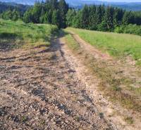 Kamenitá cesta vedoucí loukou v Olešné, Pozemky - bydlení s výhledem na lesy.