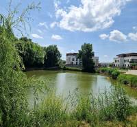 Pohled na jezero s příměstskou zástavbou v Senci na Ptačí ulici.