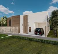 Rodinný dům v Zanzibar North s moderní architekturou, zahradou a terénem s palmami.