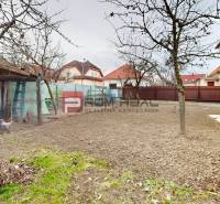 Dvůr rodinného domu na Barevné ulici v Bratislavě II se stromy a kurníkem.