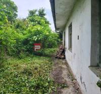 Pozemek na Holubyho ulici v Pezinku, zarostlý zelení, s vedlejší budovou.