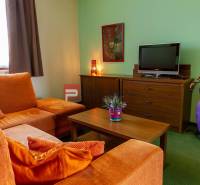 Obývací pokoj v hotelu a penzionech, s pohovkou, televizí, obrazem a dekoracemi.