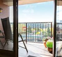 Balkon s výhledem na zeleň, rostliny v květináčích, Při Suchém mlýně v Bratislavě.