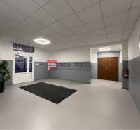 Interiér s bílými stěnami, rostlinou, podložkou a dřevěnými dveřmi ve skladech a halách.