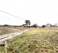 Pozemky - bydlení na ulici Robotnická v Tomášově, travnatý povrch s venkovskou cestou.