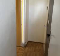 Chodba v 1-pokojovém bytě s dřevěnou podlahou, bílými stěnami a otevřenými dveřmi.