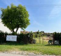 Pozemky - bydlení v obci Dolní Bar, oplocený pozemek se stromem a bránou.