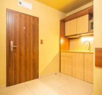 Vstupní část Rekreačního apartmánu s dřevěnými dveřmi a kuchyňskou linkou.